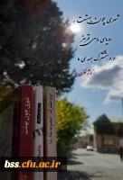 کوثر نظری