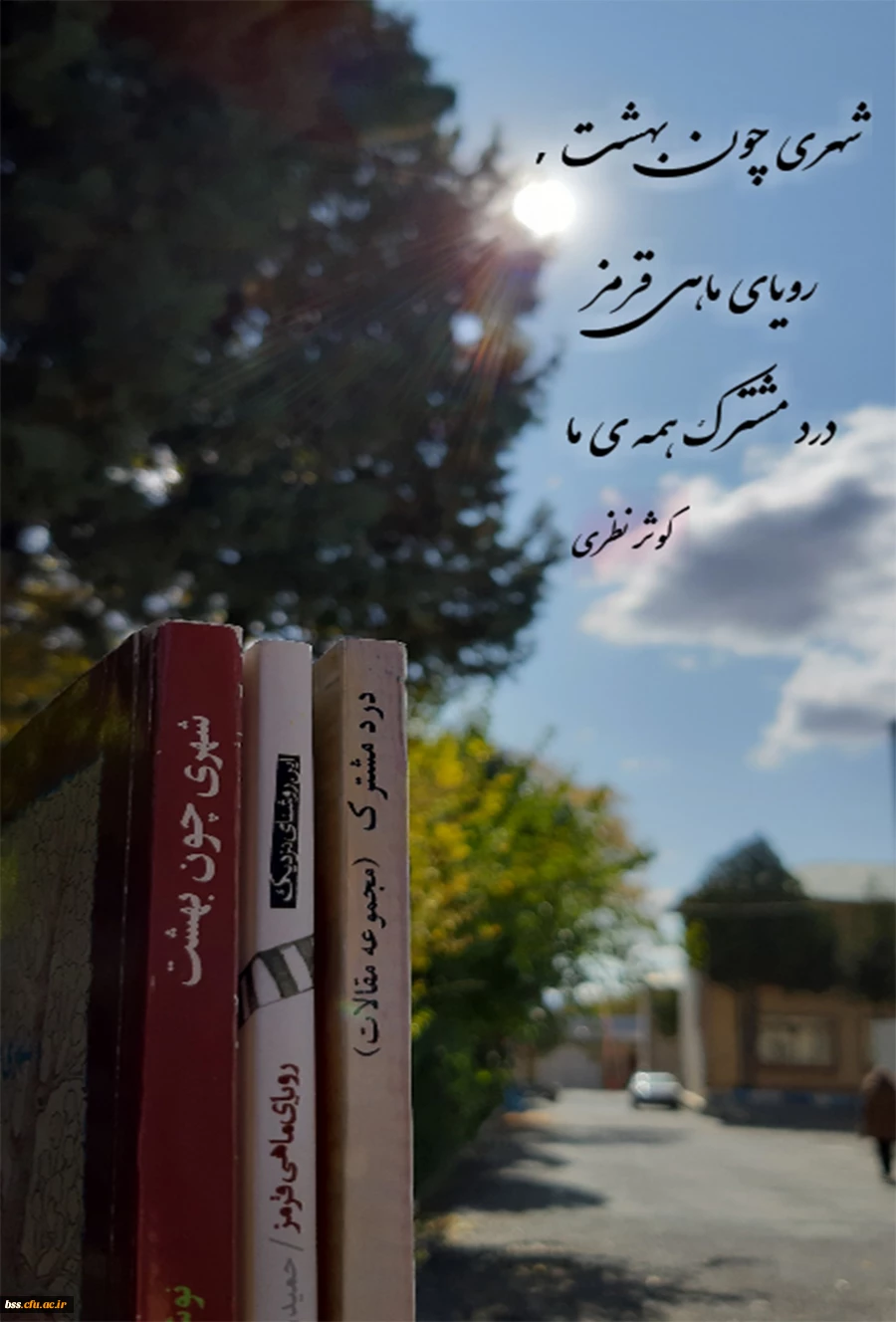 کوثر نظری