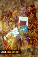 نگار اسماعیل پور