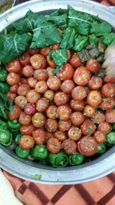 مراسم شب یلدا در سرای دانشجویی پردیس بنت الهدی صدر سنندج 5