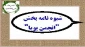 شیوه نامه بخش ویژه انتخاب انجمن پویا دوازدهمین جشنواره بین المللی حرکت ابلاغ شد 3