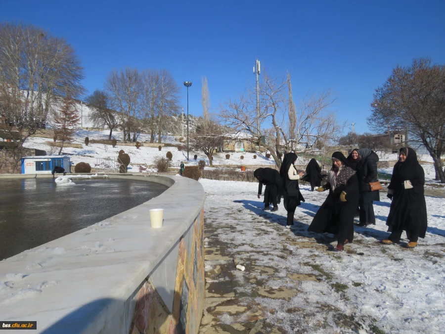 پیاده روی در مسیر آبیدر به مناسبت بزرگداشت دهه فجر 4