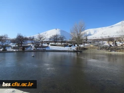 پیاده روی در مسیر آبیدر به مناسبت بزرگداشت دهه فجر 9