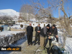 پیاده روی در مسیر آبیدر به مناسبت بزرگداشت دهه فجر 11