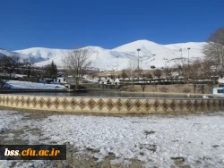 پیاده روی در مسیر آبیدر به مناسبت بزرگداشت دهه فجر 12