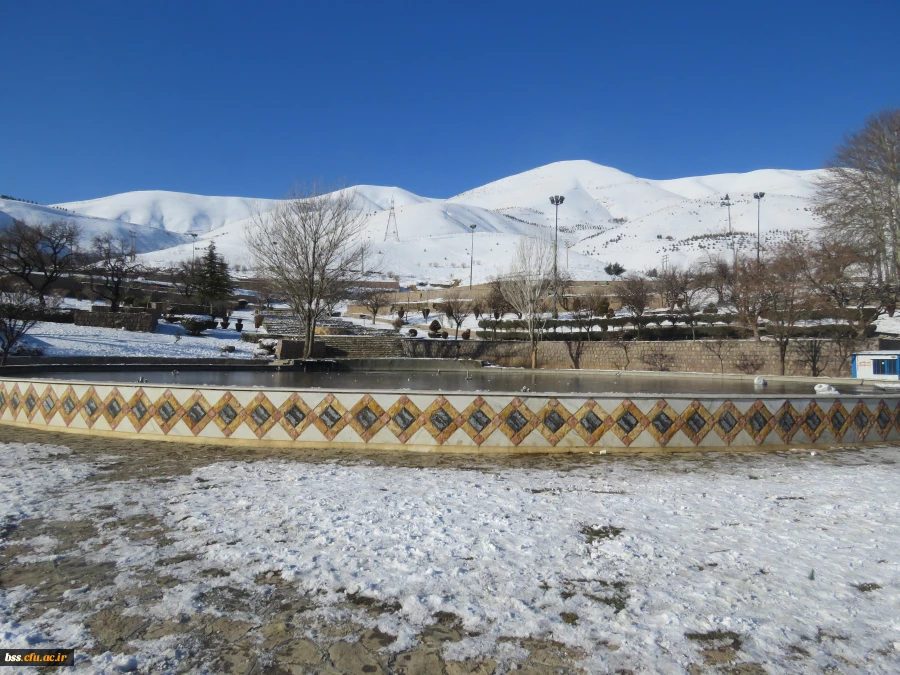 پیاده روی در مسیر آبیدر به مناسبت بزرگداشت دهه فجر 12