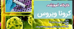 کارگاه کرونا ویروس  2