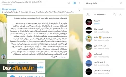 کارگاه مجازی نقد فیلم 3