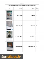 گروه های درسی که در شبکه اجتماعی شمیم تشکیل شده اند 20