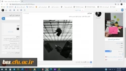 مسابقه مجازی عکاسی « در خانه بمانیم»
 4