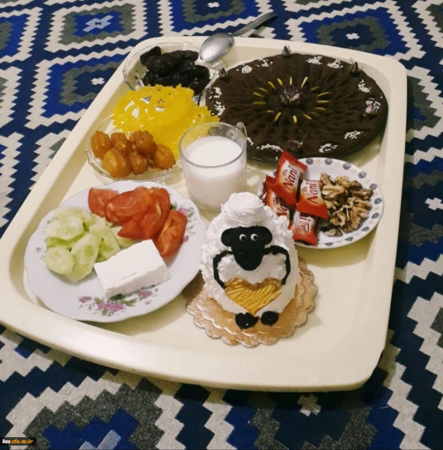 اعلام نتایج مسابقه عکس «سفره های آسمانی» 6