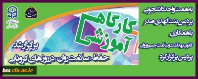 به همت واحد دانشجویی در هفته سراهای دانشجویی بر گزار شد؛

کارگاه آموزشی حفظ«سلامت روان» در ایام کرونا