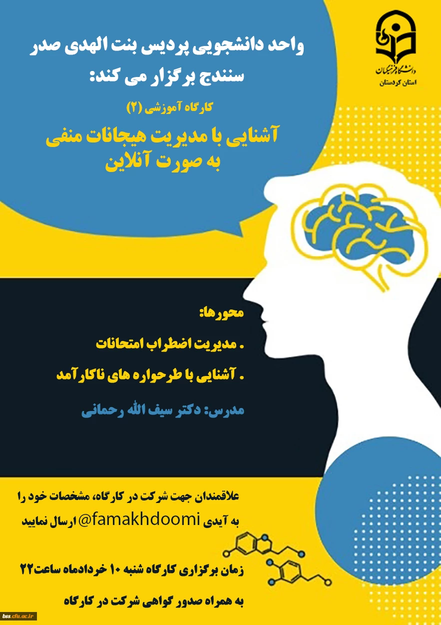 کارگاه آنلاین آشنایی با «مدیریت هیجانات منفی»  2