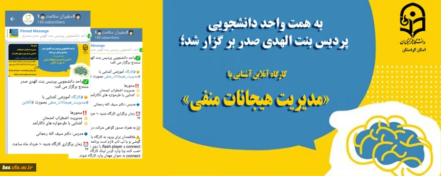 کارگاه آنلاین آشنایی با «مدیریت هیجانات منفی» 12