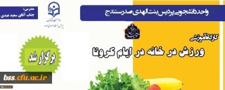 به مناسبت گرامیداشت هفته تربیت بدنی و ورزش برگزار شد؛

کارگاه آموزشی «ورزش در خانه»