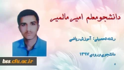 امیر مالمیر