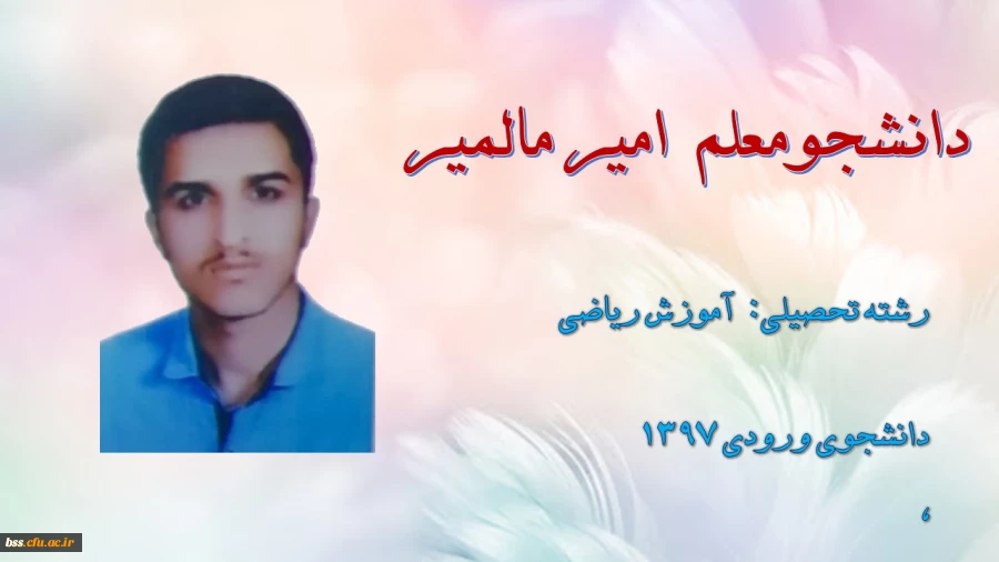 امیر مالمیر